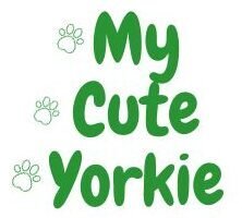 MyCuteYorkie